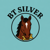 Big Ticket Silver - Home